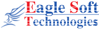 eagle soft technologies